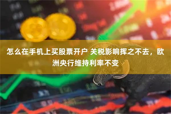 怎么在手机上买股票开户 关税影响挥之不去，欧洲央行维持利率不变