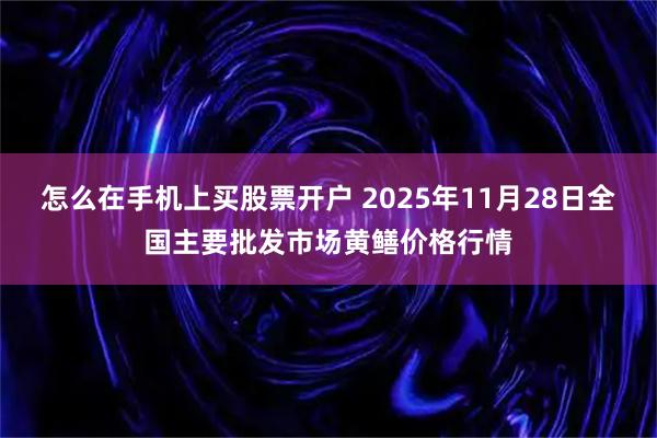 怎么在手机上买股票开户 2025年11月28日全国主要批发市场黄鳝价格行情
