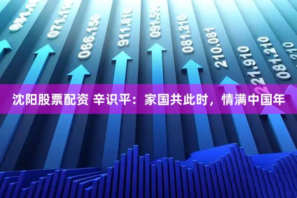 沈阳股票配资 辛识平：家国共此时，情满中国年